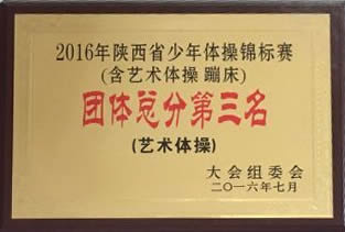 陕西省少年体操锦标赛团体第三名